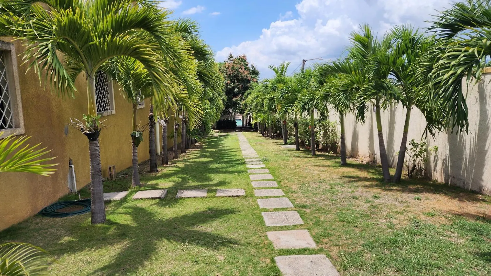 Pearls Of Liguanea Oasis Apartamento Kingston Jamaica